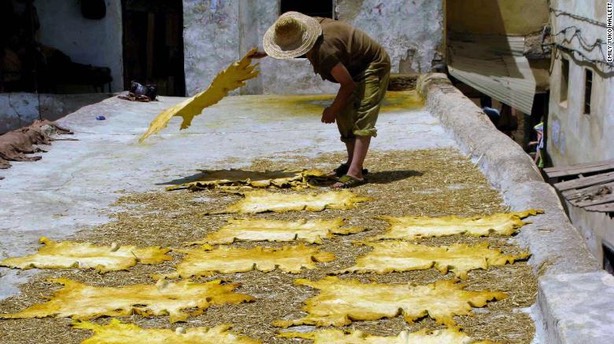 Chouara Tannery Fez