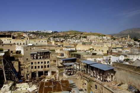 Fez tannery