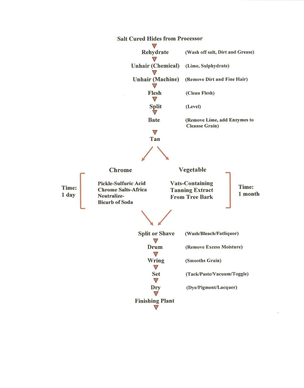 Leather Tanning Process Flow Chart