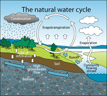 water cycle