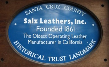 Salz plaque