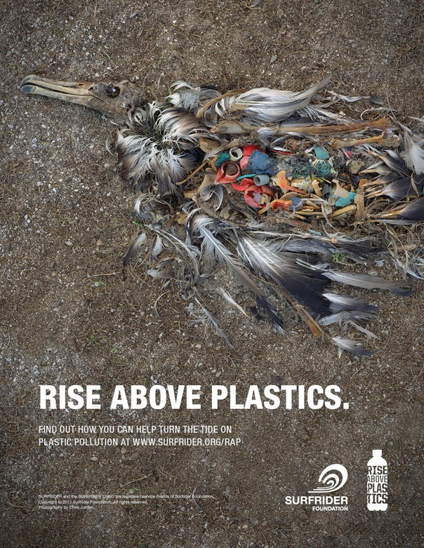 surfrider ad albatrosslowresFINAL